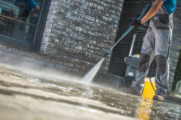 Best Animal Enclosure Cleaning  in Taylor, AZ