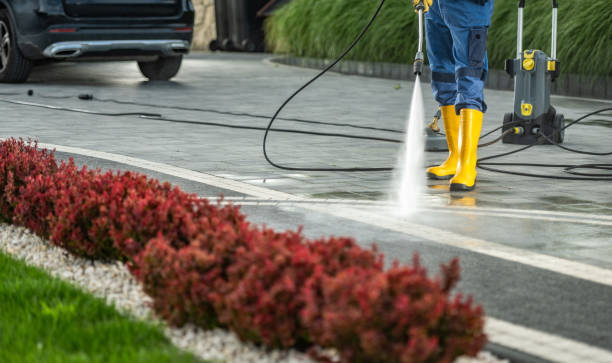 Animal Enclosure Cleaning in Taylor, AZ